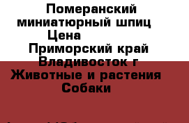 Померанский миниатюрный шпиц  › Цена ­ 15 000 - Приморский край, Владивосток г. Животные и растения » Собаки   